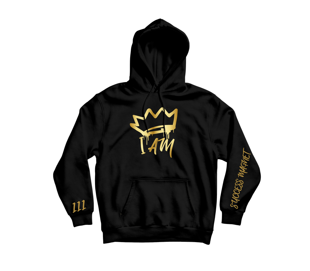 Success Magnet Hoodie